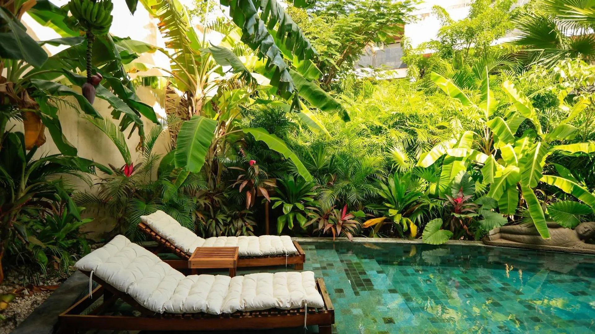 Luxury Cenote Villa Tulum