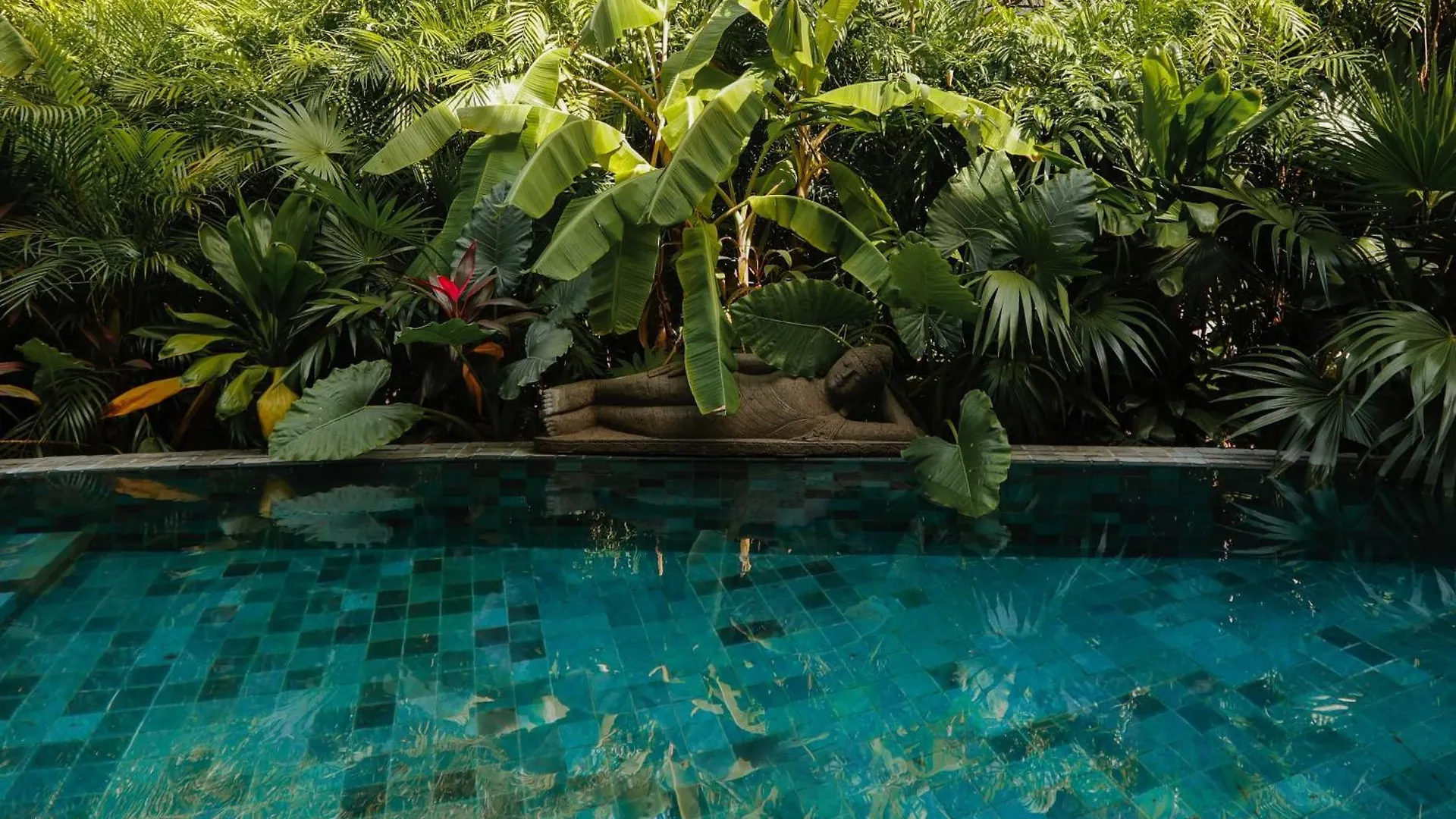 Luxury Cenote Villa Tulum